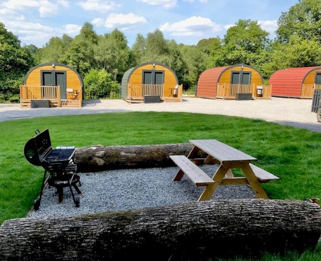 Willa Earth Pod 2 Pet Friendly Neath Zewnętrze zdjęcie